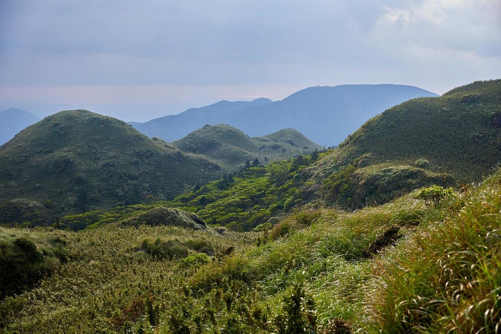 Taiwan Yangmingshan