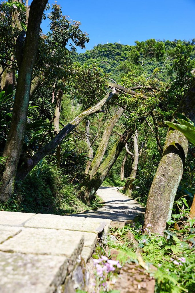 Taipei Elephant Mountain