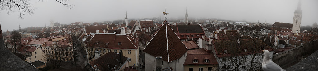 Tallinn-winter1-small.jpg