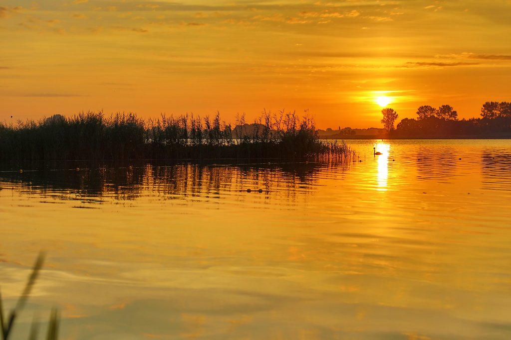 IMG-1218-cp2.jpg