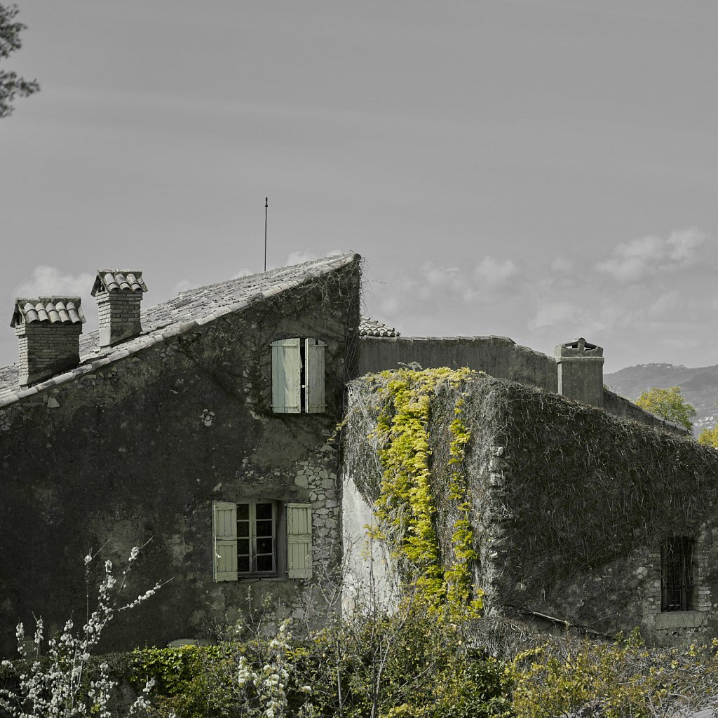 IMG-0582.jpg